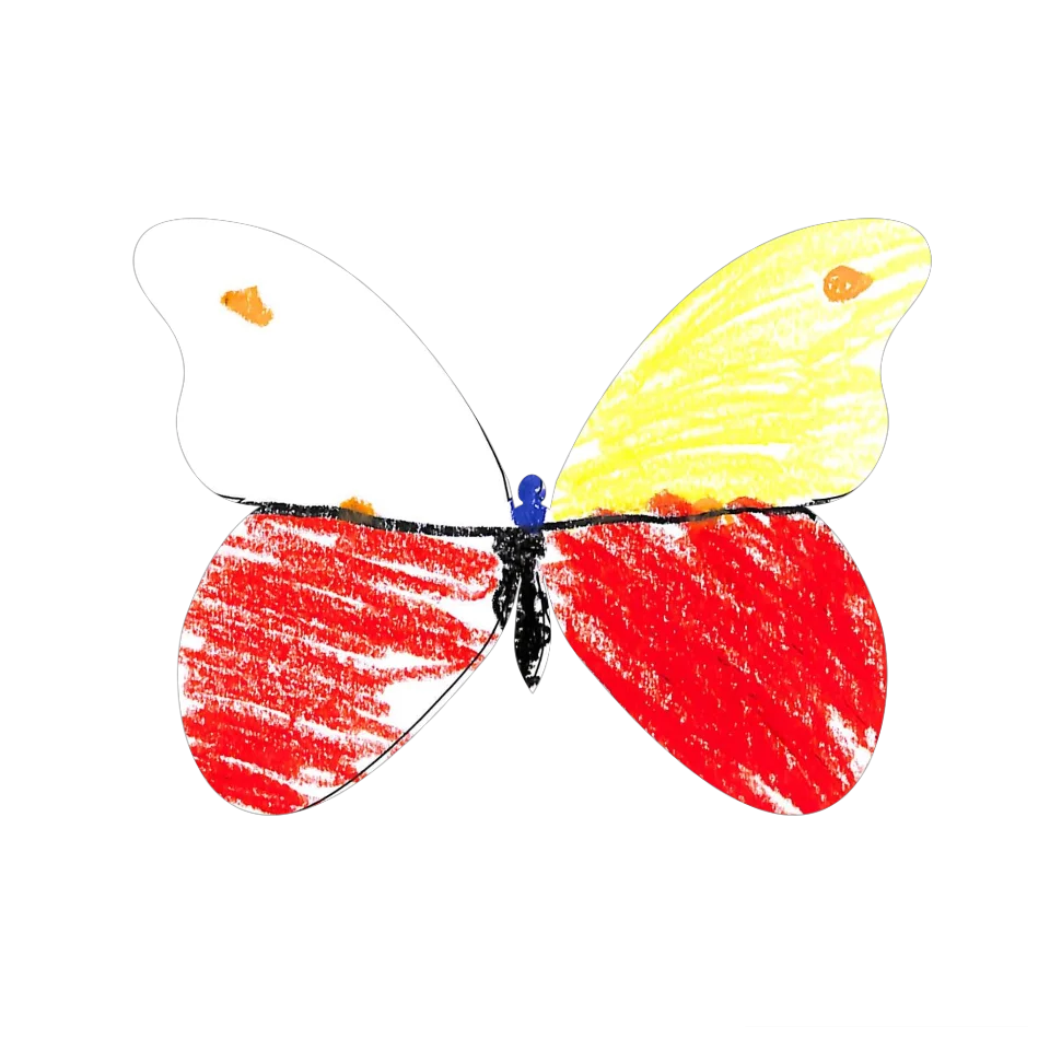 Original Butterfly Image