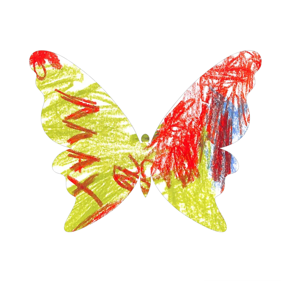 Original Butterfly Image