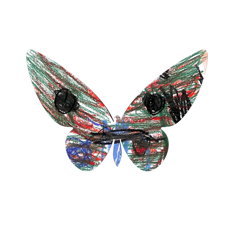 Original Butterfly Image