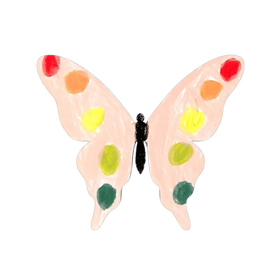 Original Butterfly Image