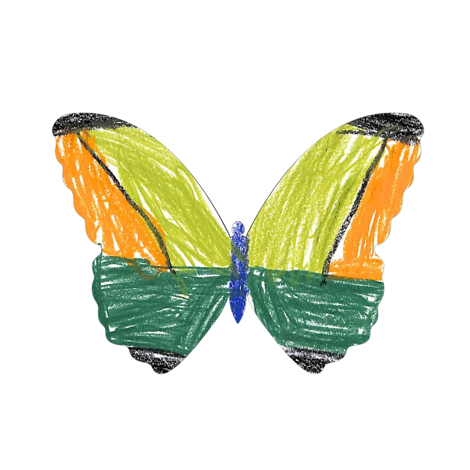 Original Butterfly Image