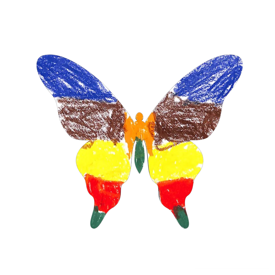 Original Butterfly Image