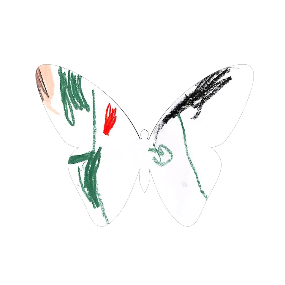 Original Butterfly Image