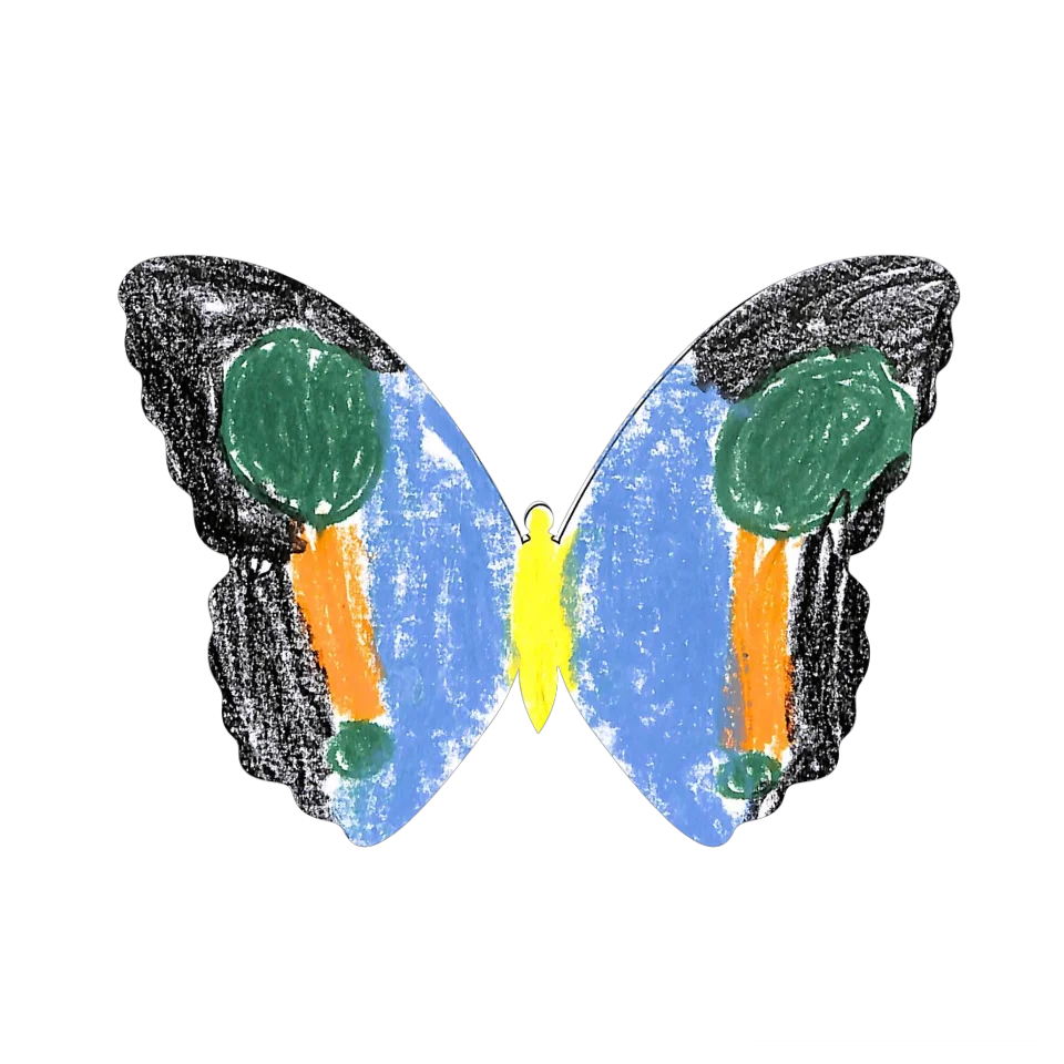 Original Butterfly Image
