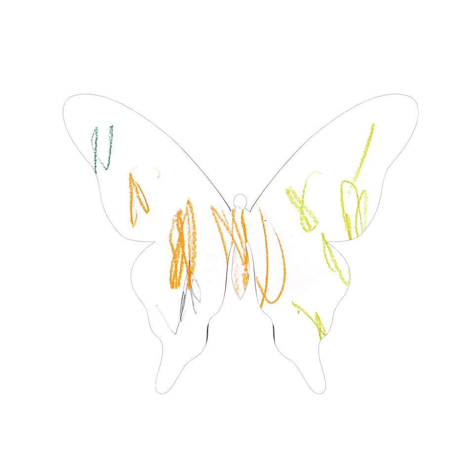 Original Butterfly Image