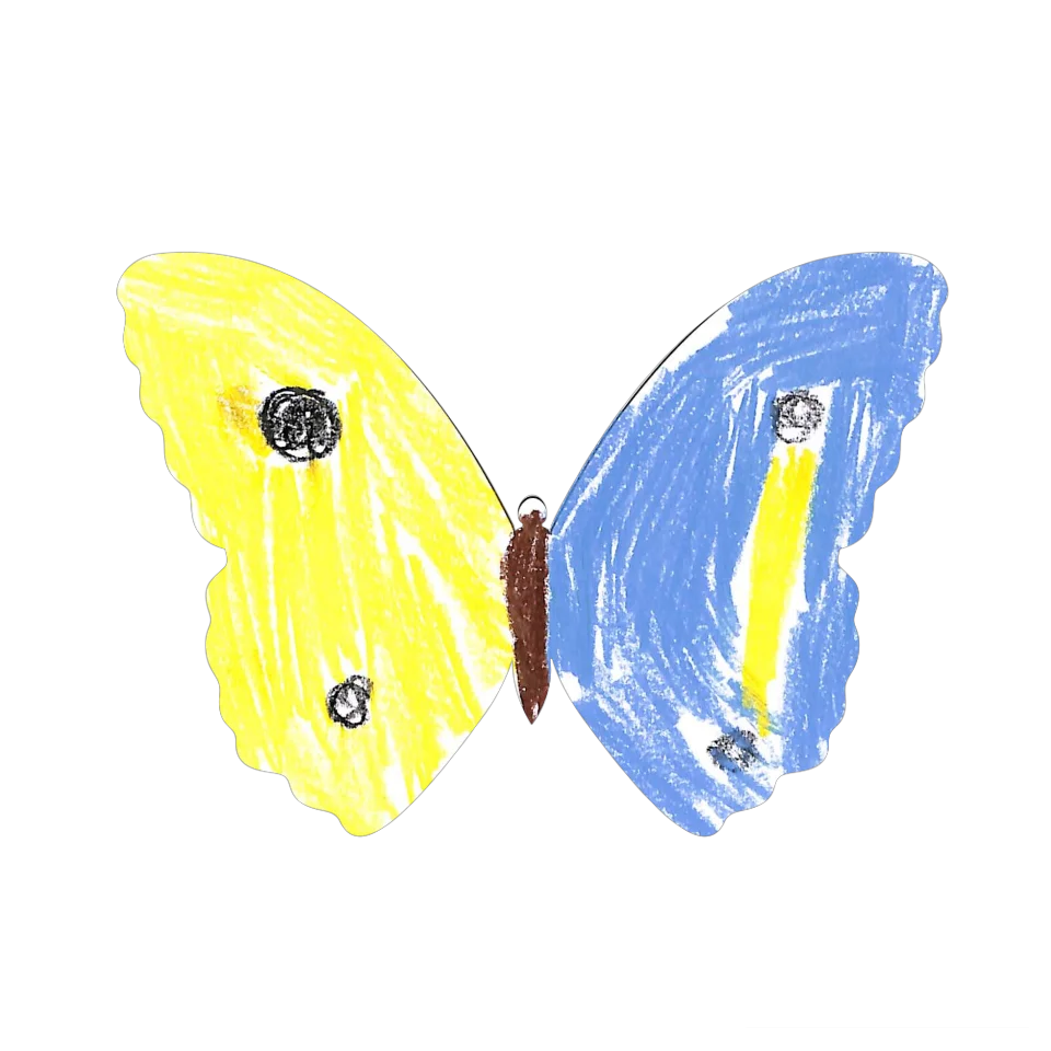 Original Butterfly Image