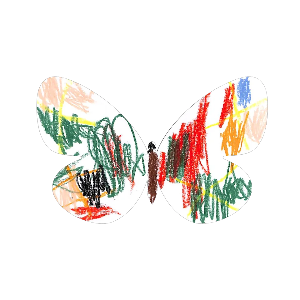 Original Butterfly Image