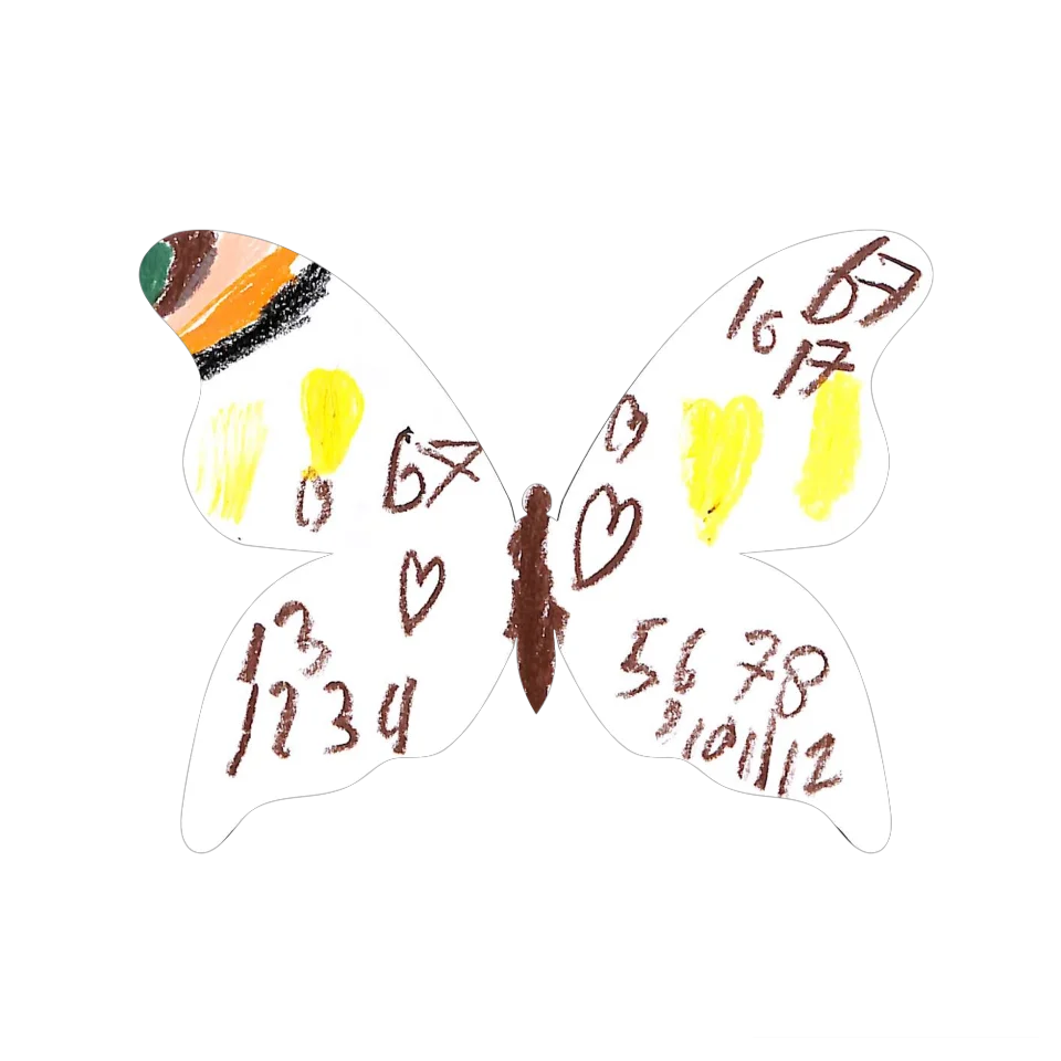 Original Butterfly Image