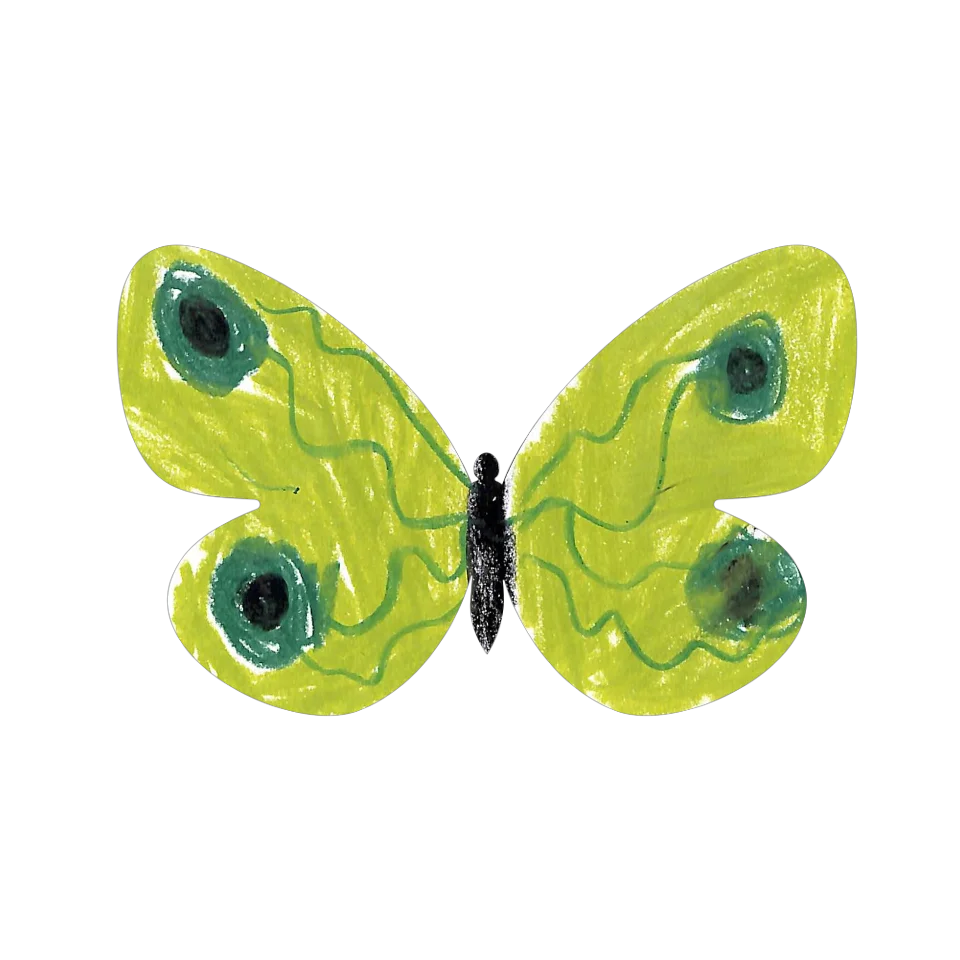 Original Butterfly Image
