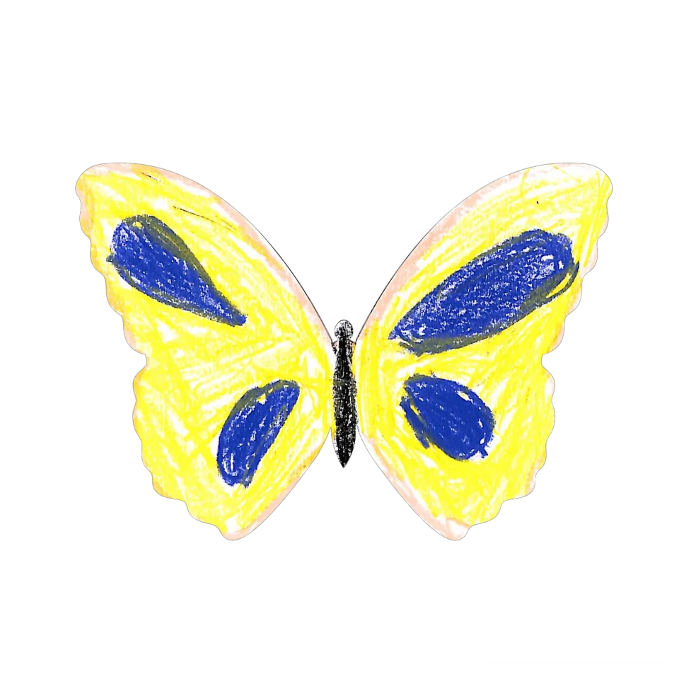 Original Butterfly Image