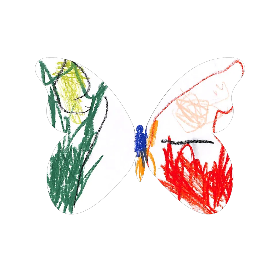 Original Butterfly Image