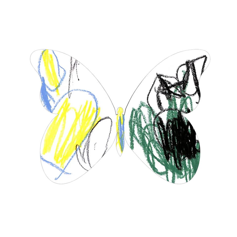 Original Butterfly Image