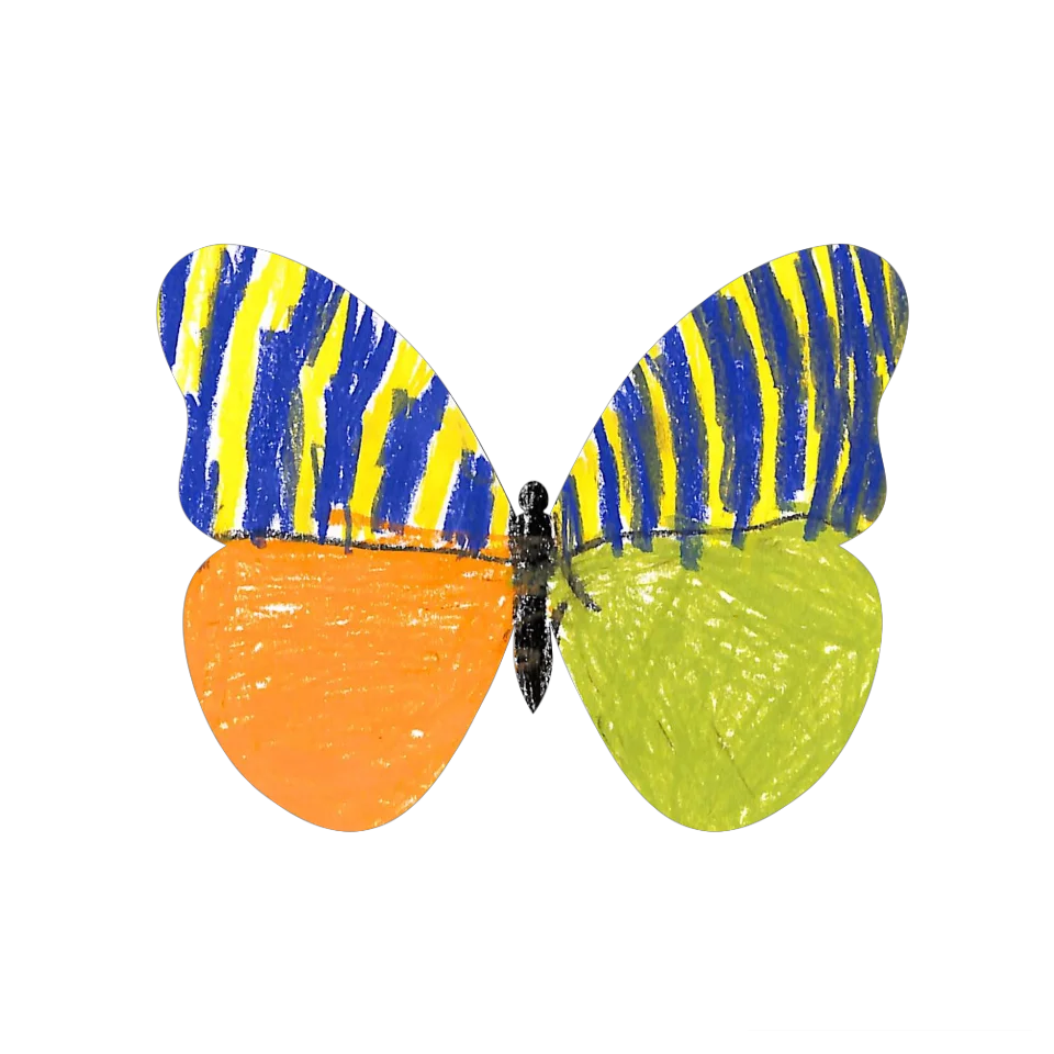 Original Butterfly Image