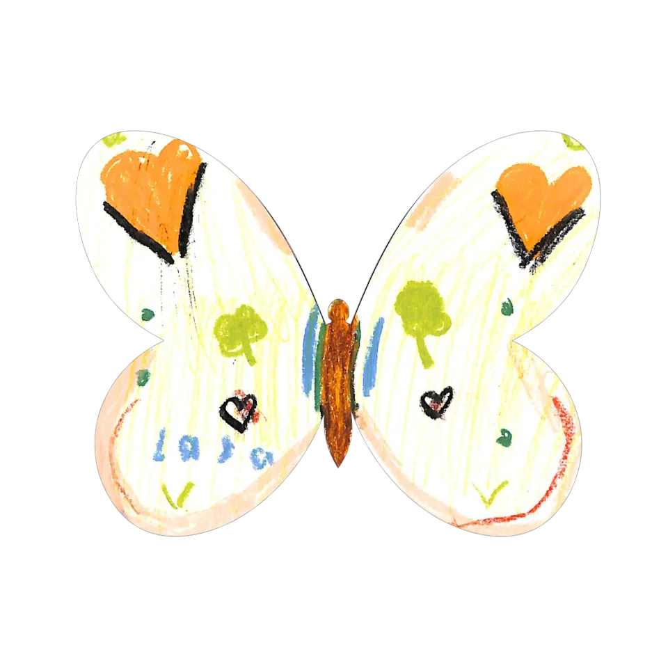 Original Butterfly Image