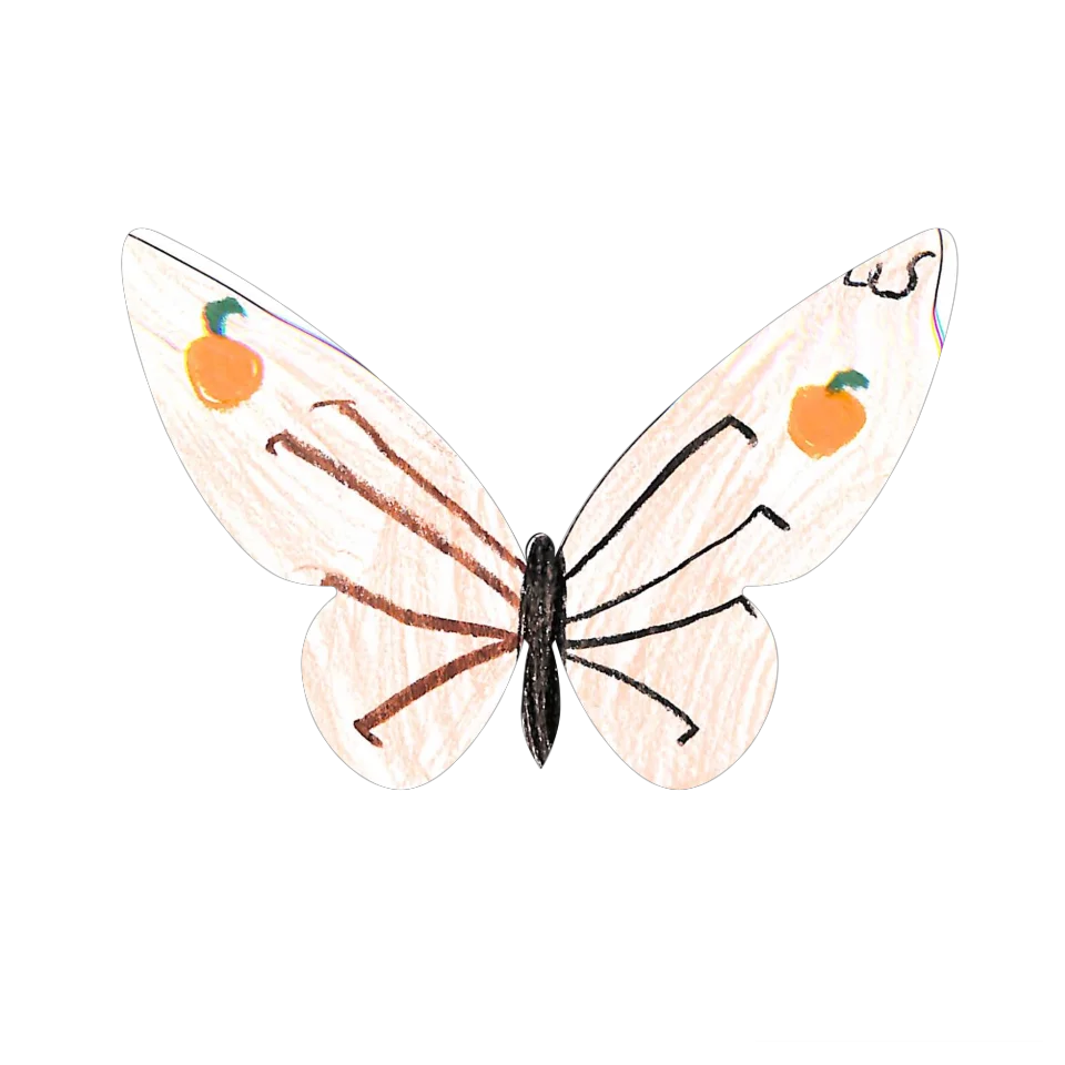 Original Butterfly Image
