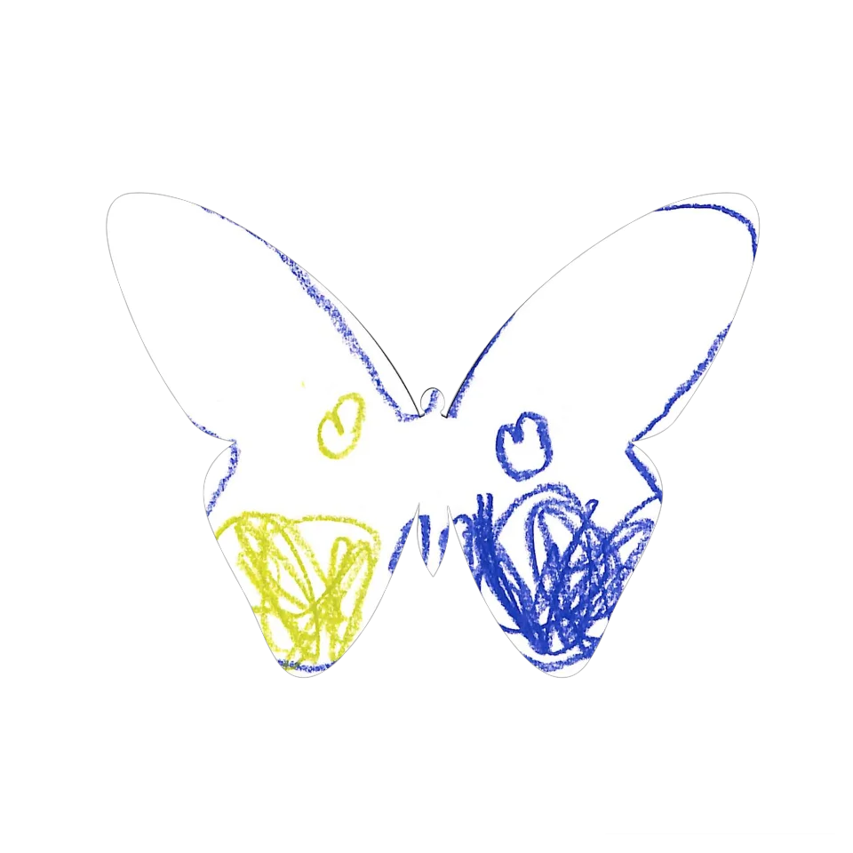 Original Butterfly Image