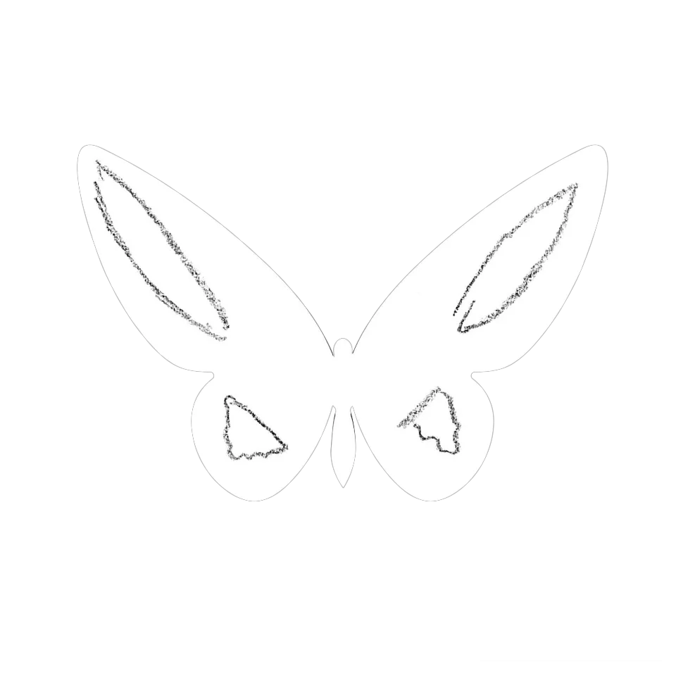 Original Butterfly Image