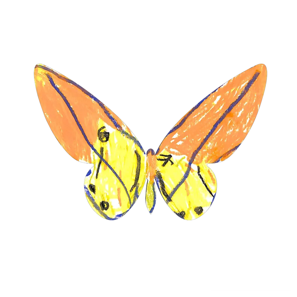 Original Butterfly Image