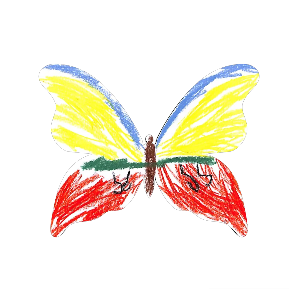 Original Butterfly Image