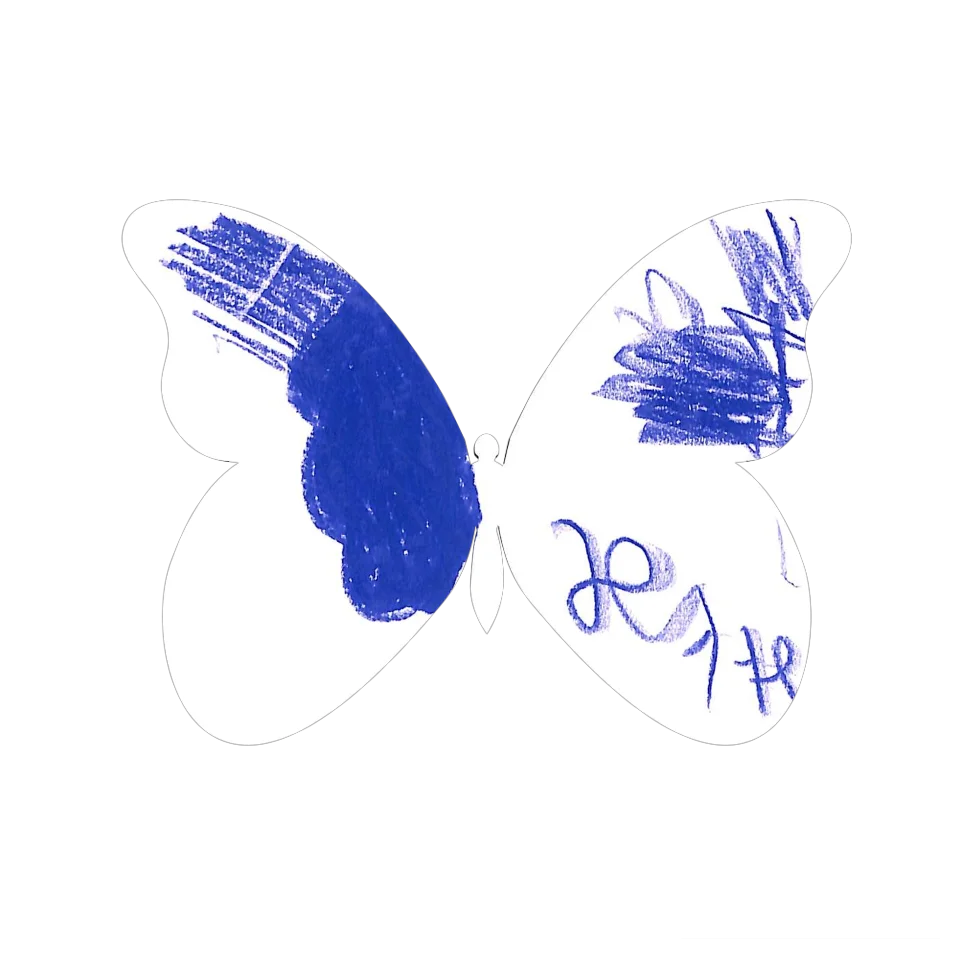 Original Butterfly Image