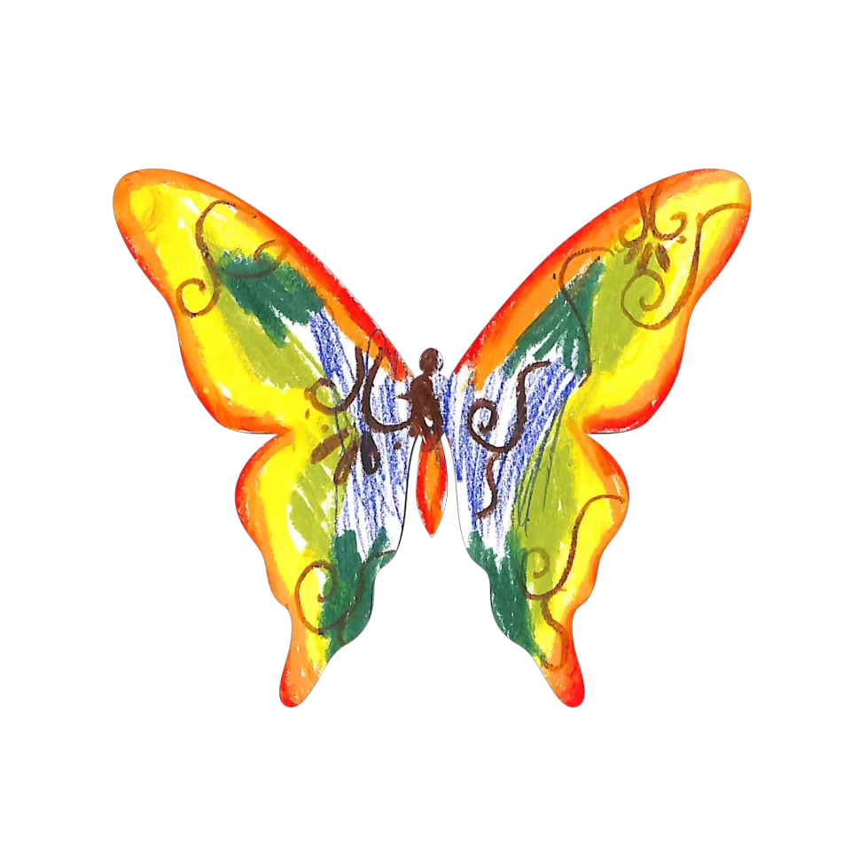 Original Butterfly Image