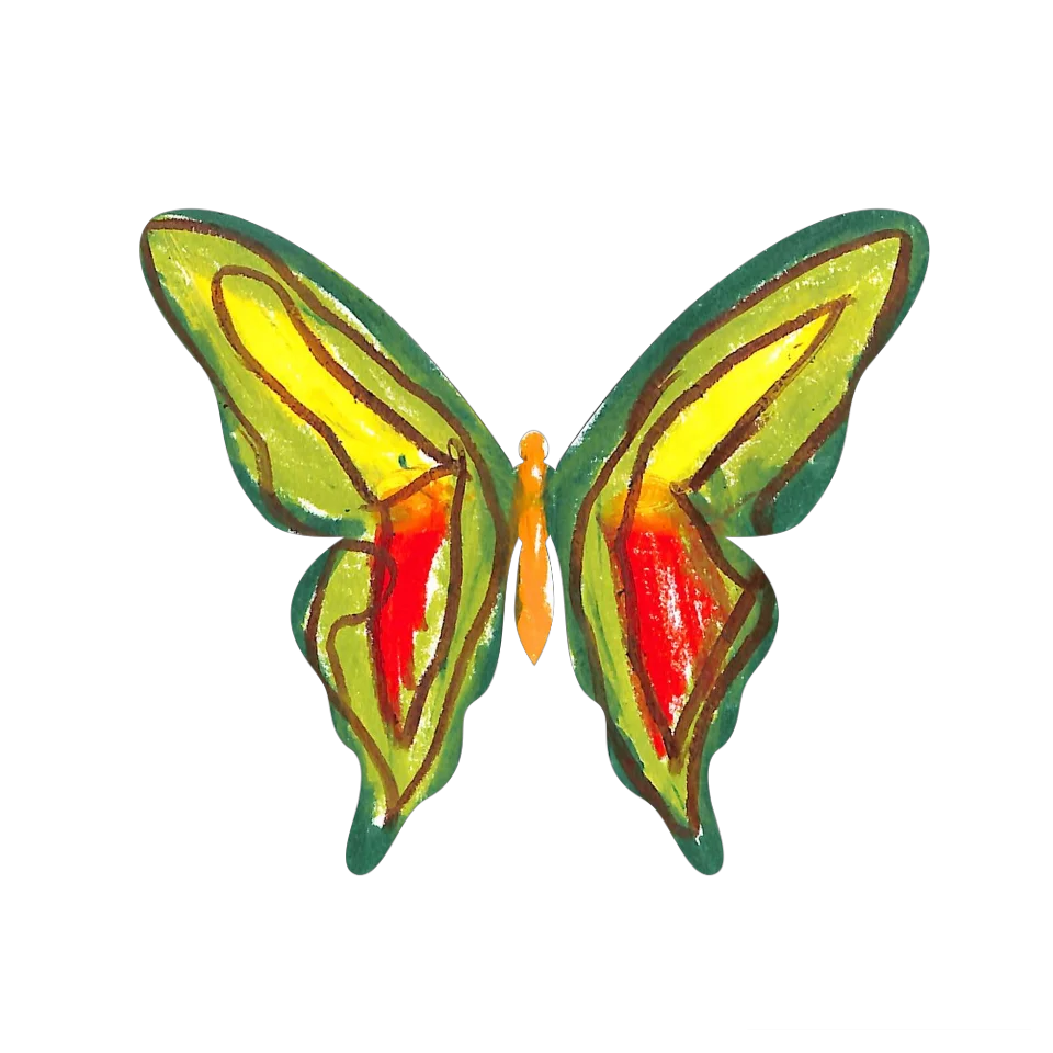 Original Butterfly Image