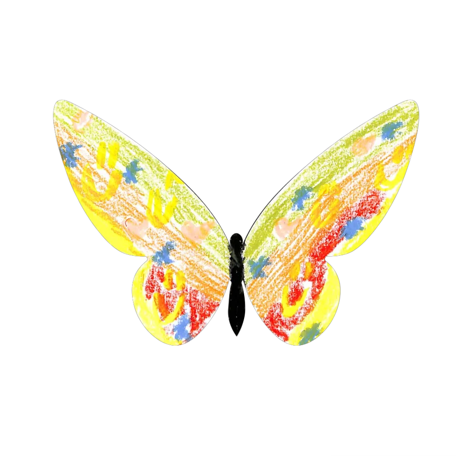Original Butterfly Image
