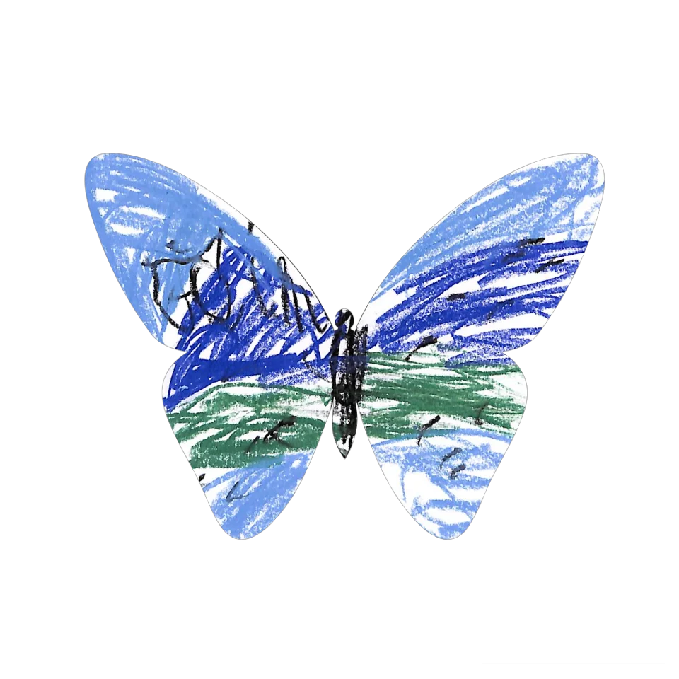Original Butterfly Image