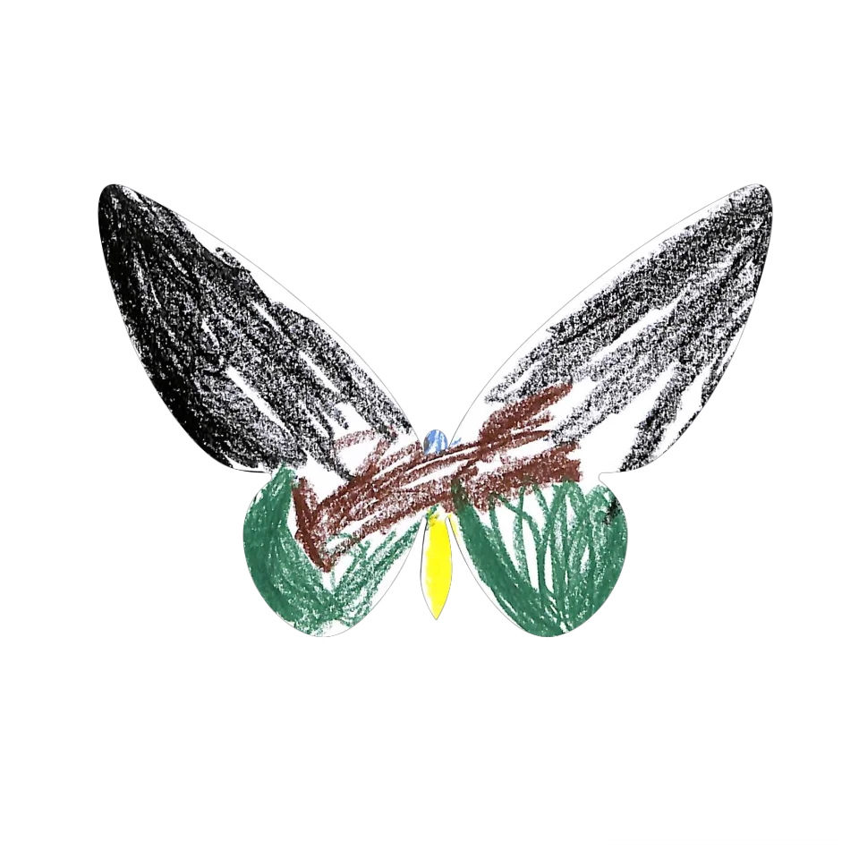 Original Butterfly Image