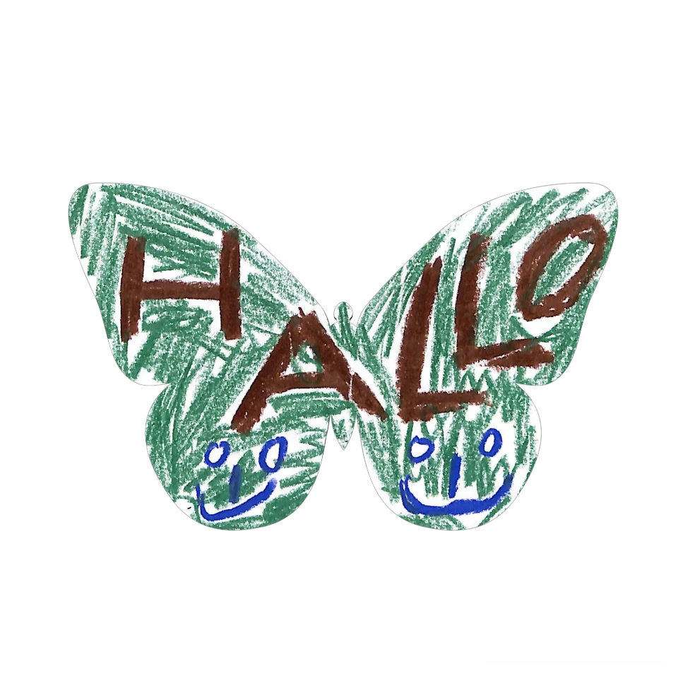 Original Butterfly Image