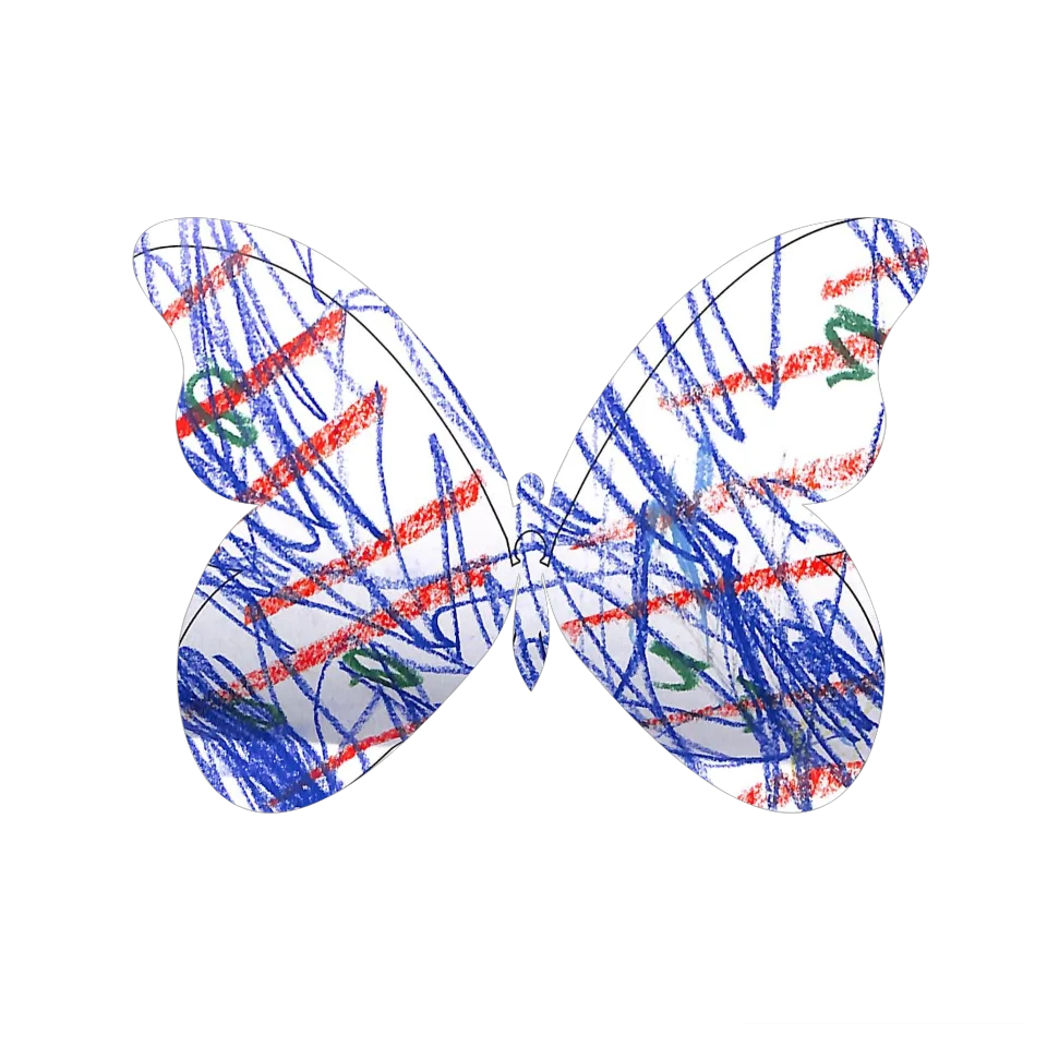 Original Butterfly Image