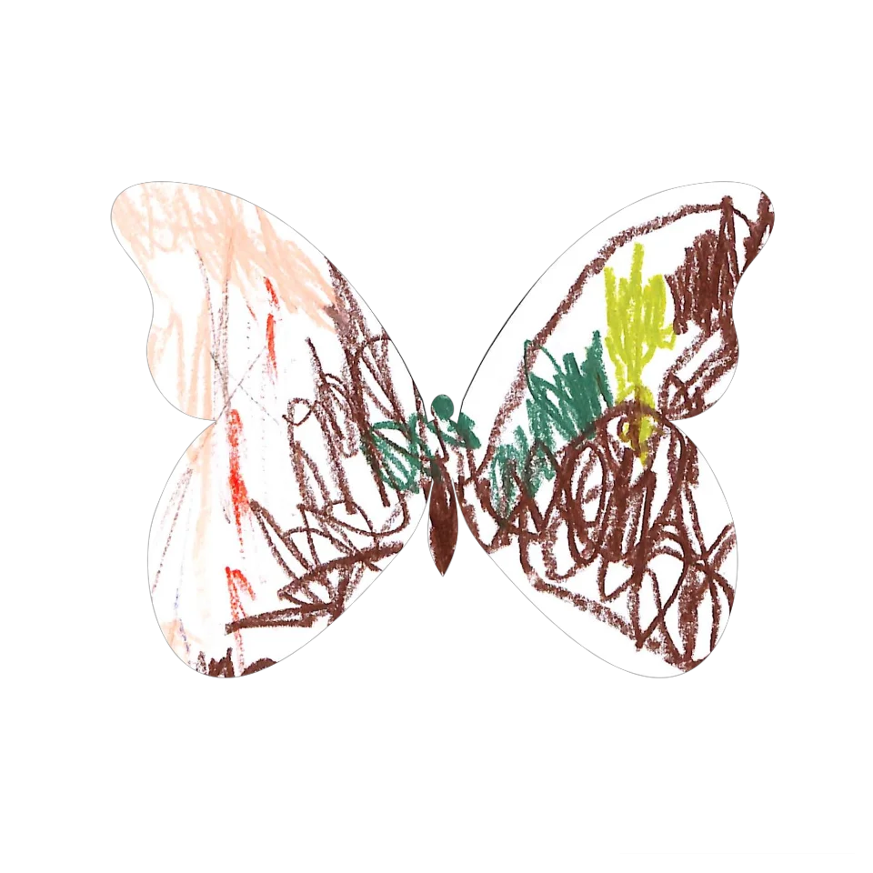 Original Butterfly Image