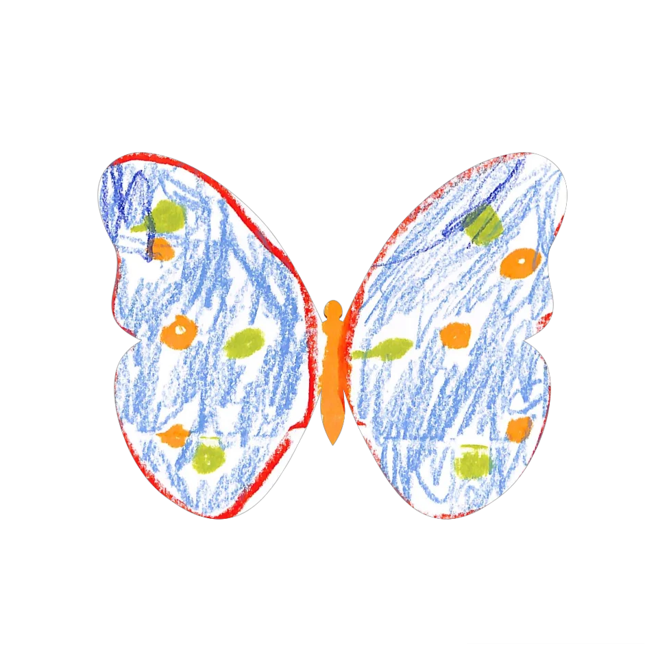 Original Butterfly Image