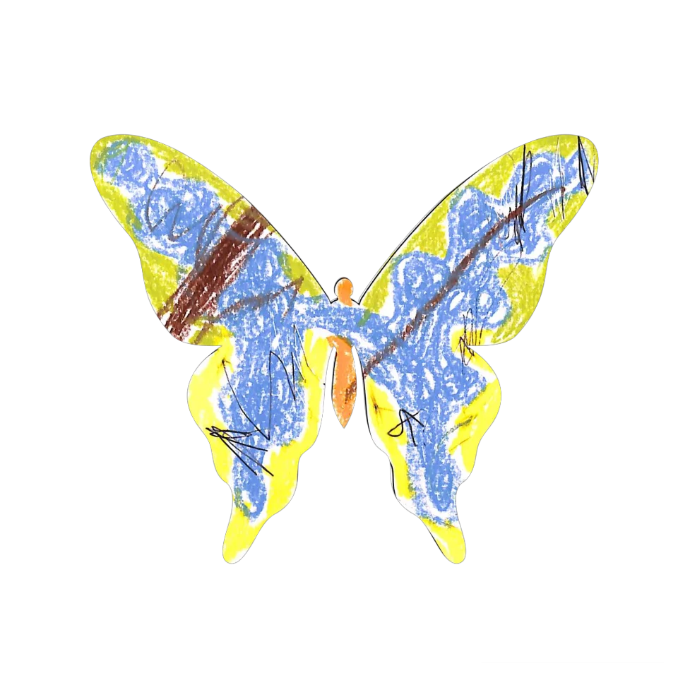 Original Butterfly Image