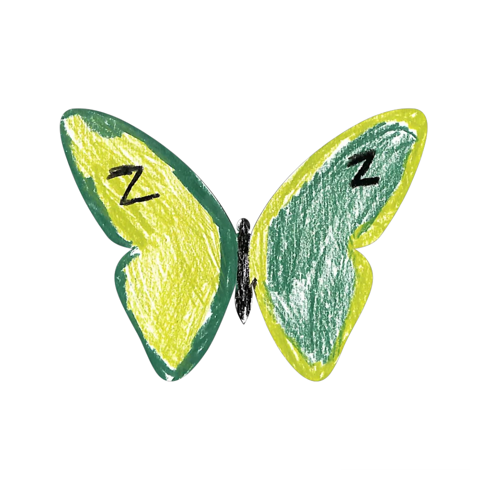 Original Butterfly Image