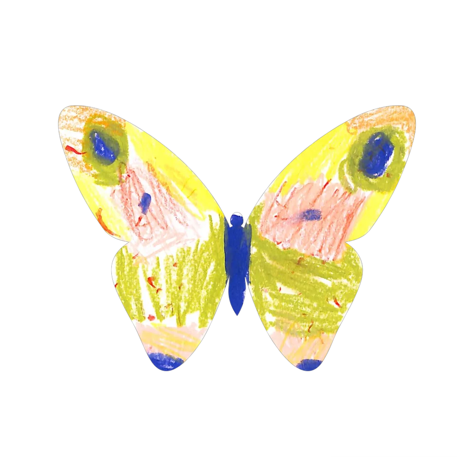 Original Butterfly Image