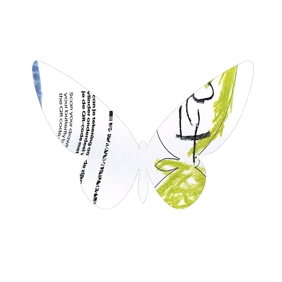 Original Butterfly Image