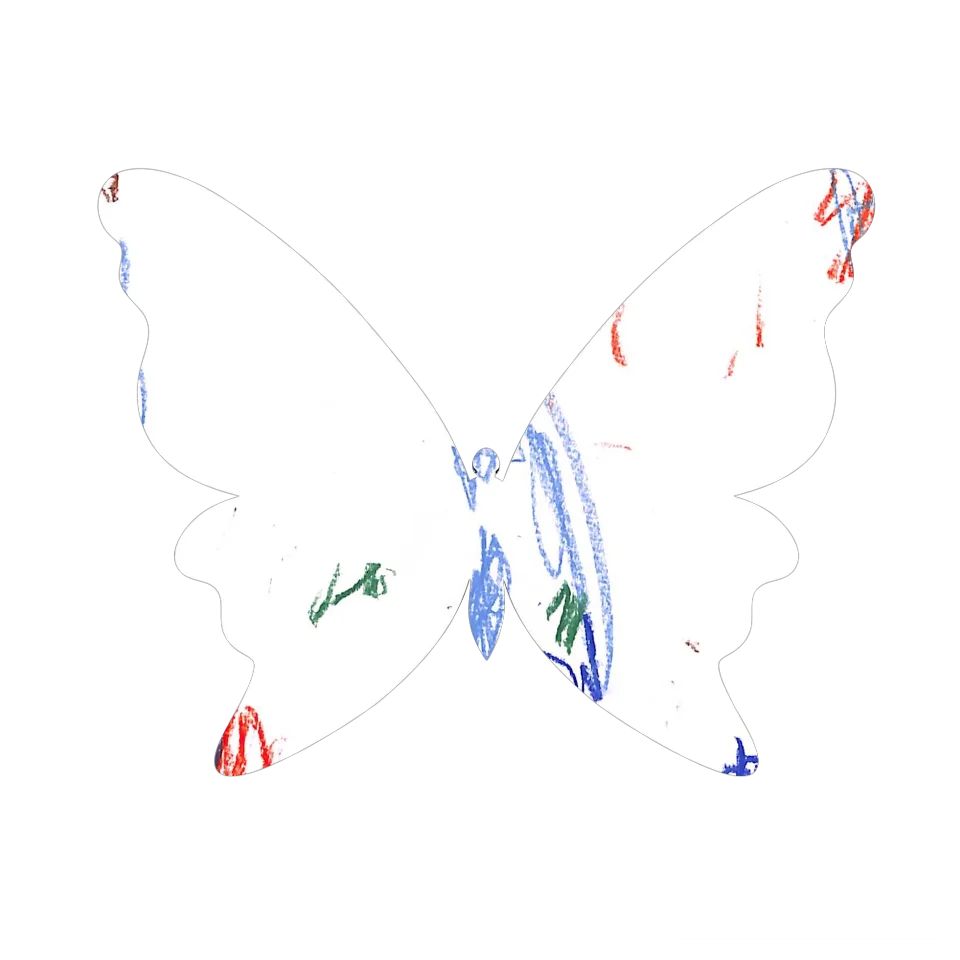 Original Butterfly Image