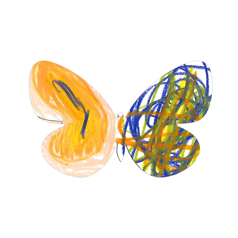 Original Butterfly Image