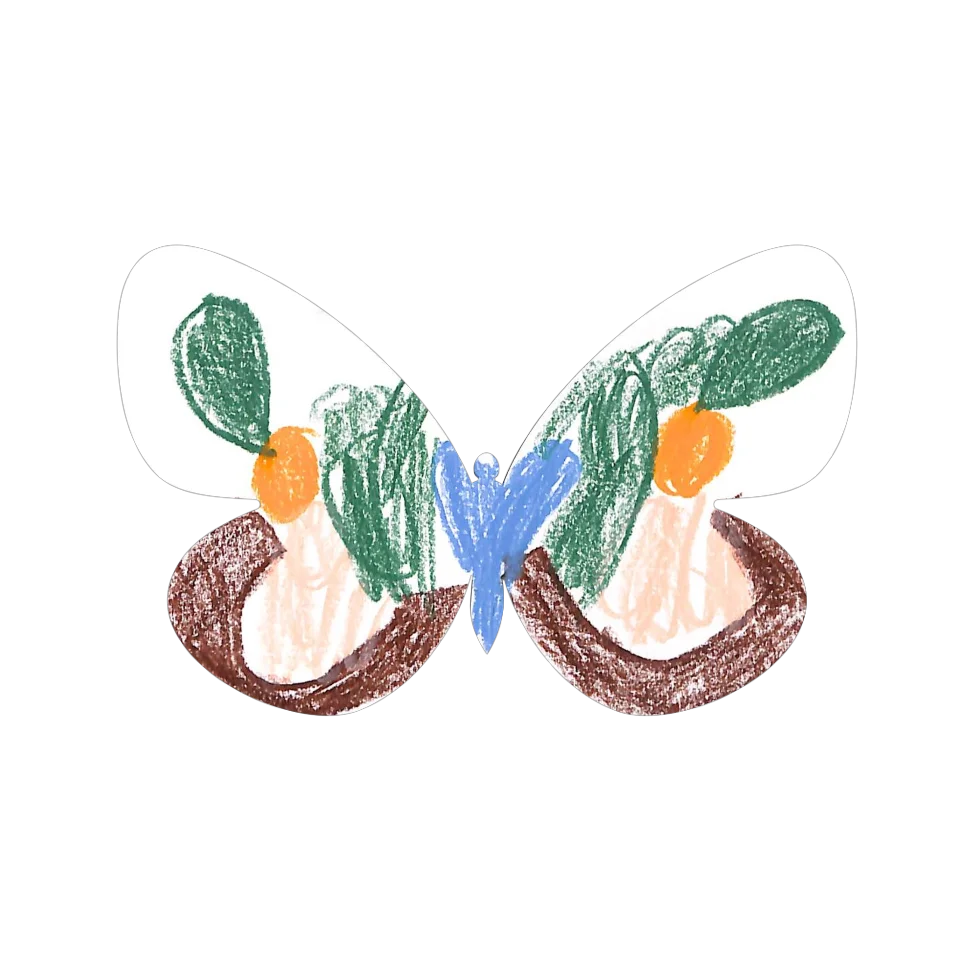 Original Butterfly Image
