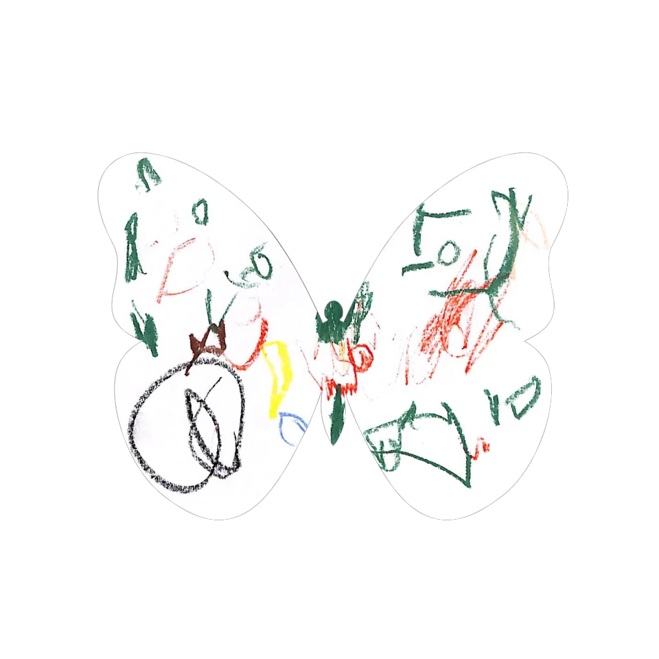 Original Butterfly Image