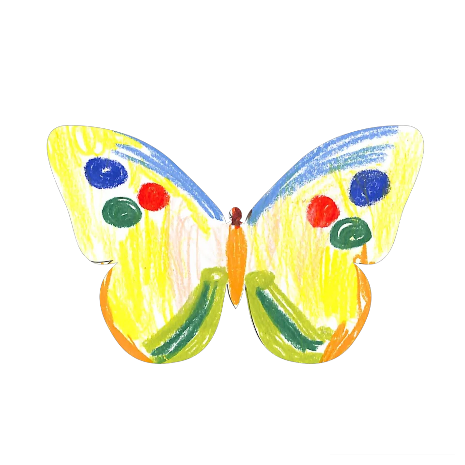 Original Butterfly Image