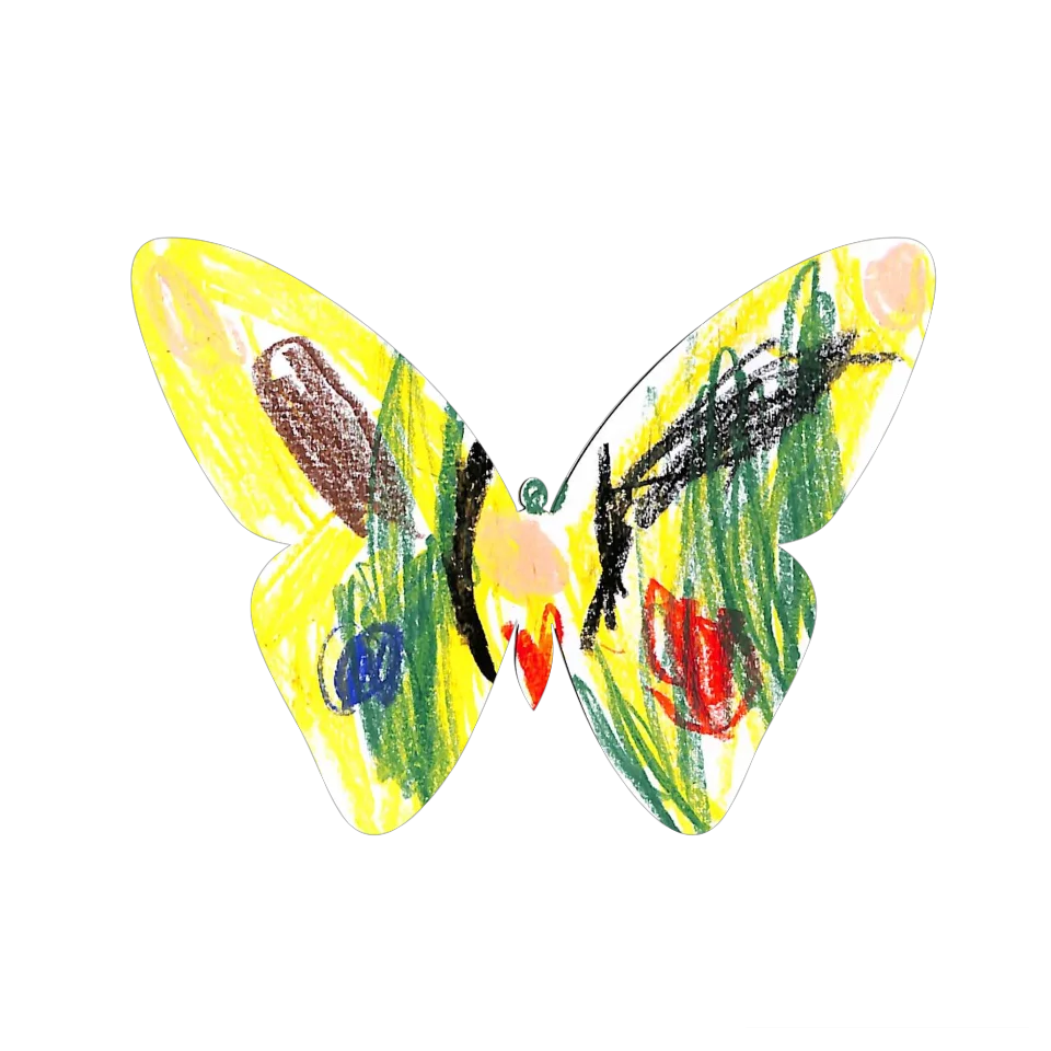 Original Butterfly Image
