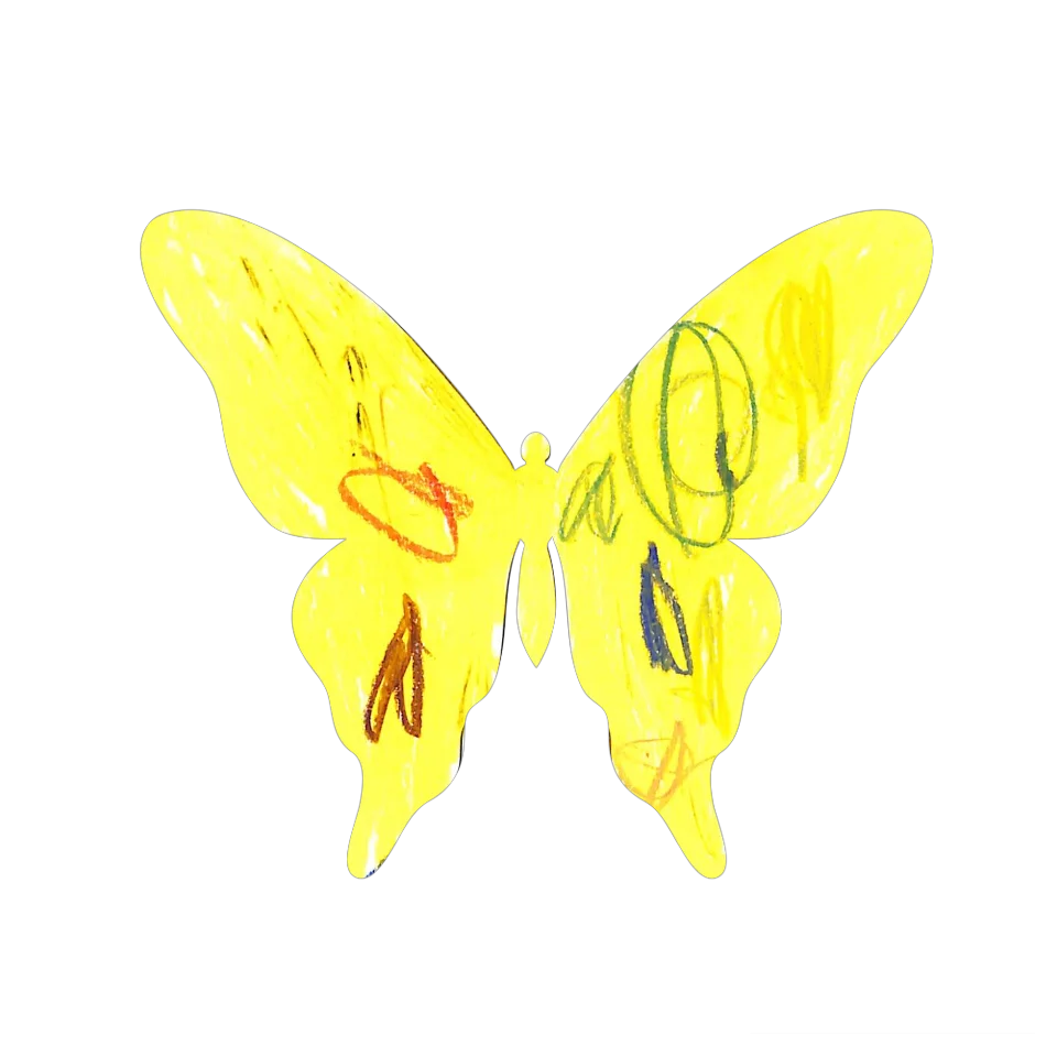 Original Butterfly Image