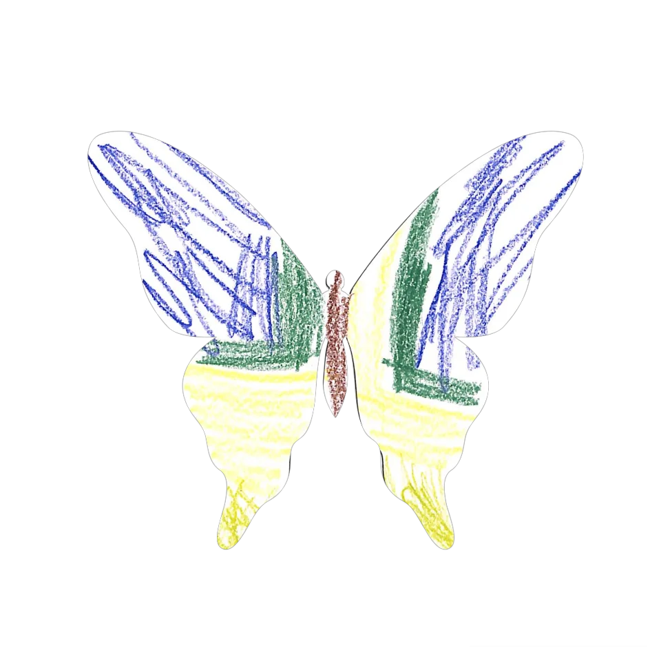 Original Butterfly Image