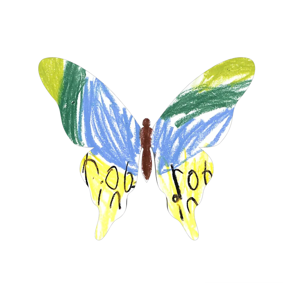 Original Butterfly Image