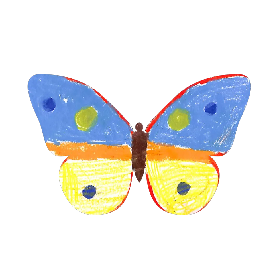 Original Butterfly Image
