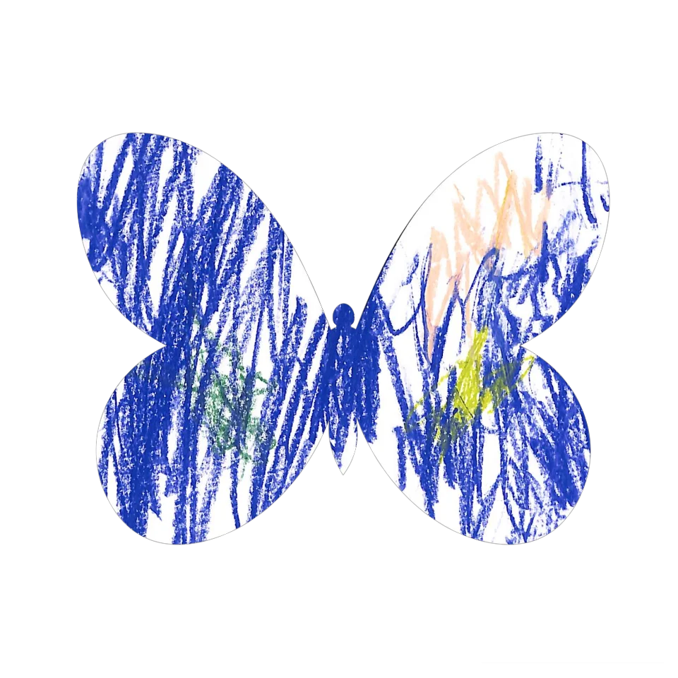 Original Butterfly Image