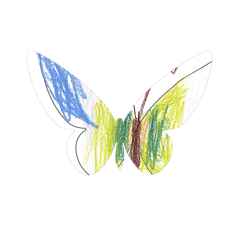 Original Butterfly Image