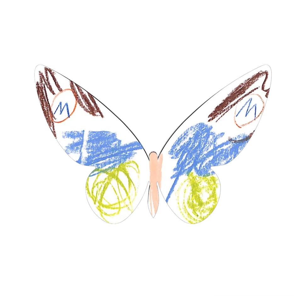Original Butterfly Image